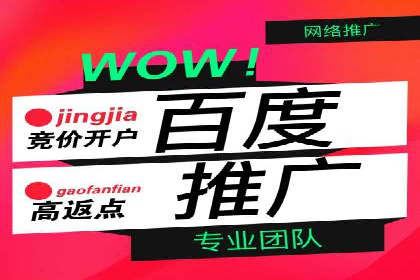 百度网络推广案例精选：助力企业快速提升知名度